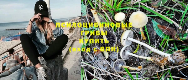 a pvp Мегион