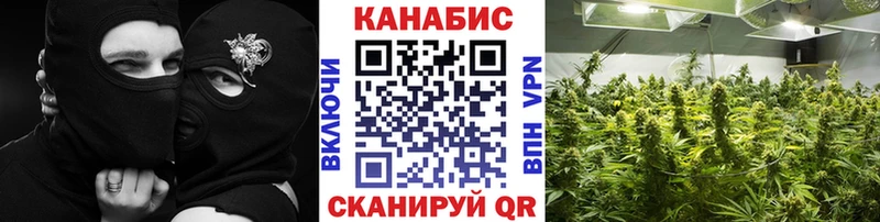 Марихуана план  Козьмодемьянск 